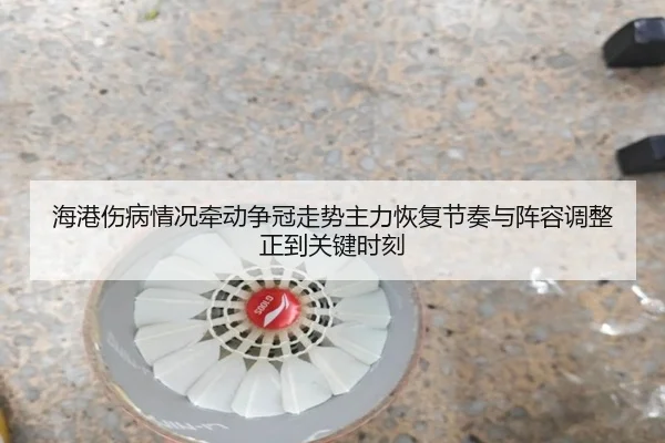 海港伤病情况牵动争冠走势主力恢复节奏与阵容调整正到关键时刻（maiqiuzhan）